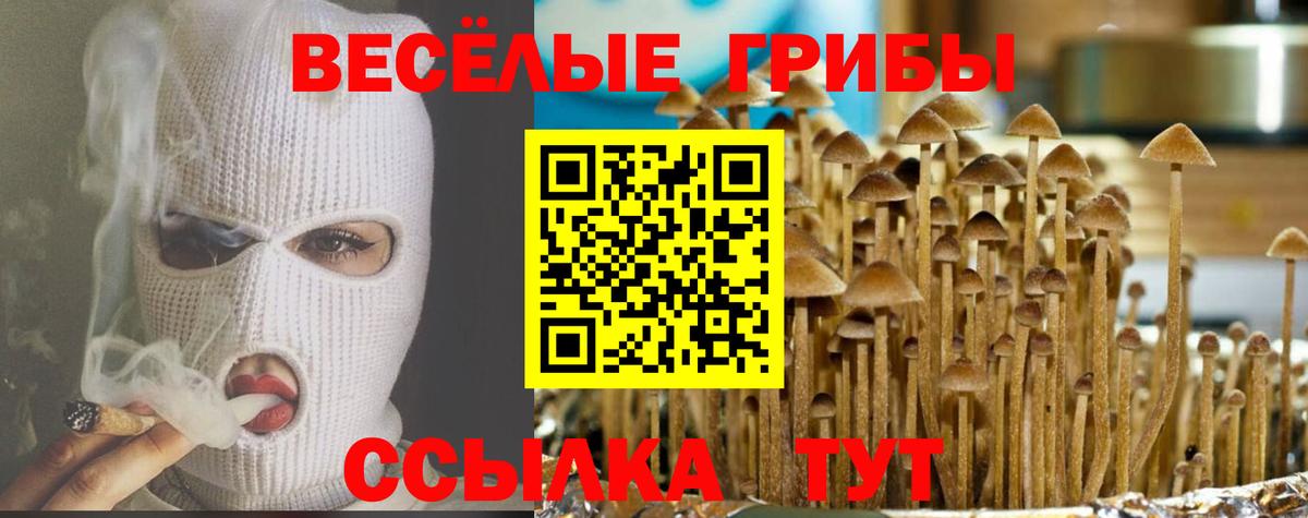 Королёв  Галлюциногенные грибы ЛСД  Псилоцибиновые грибы мицелий  Вход с VPN 