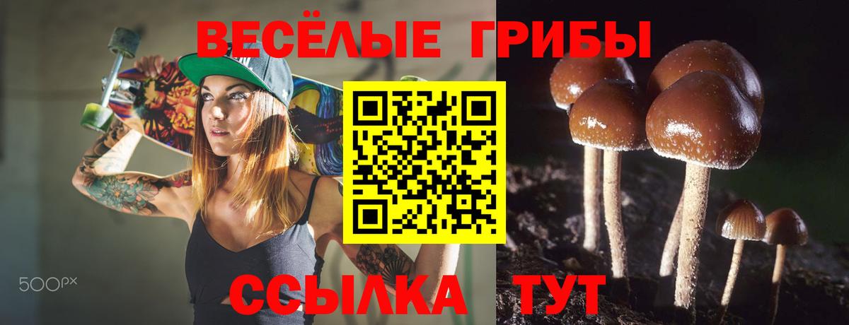 Галлюциногенные грибы GOLDEN TEACHER Королёв